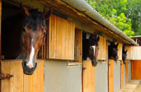 free Warwick Wold stable construction quotes